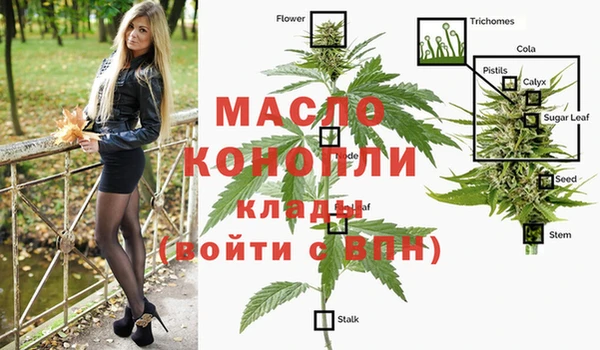 винт Няндома