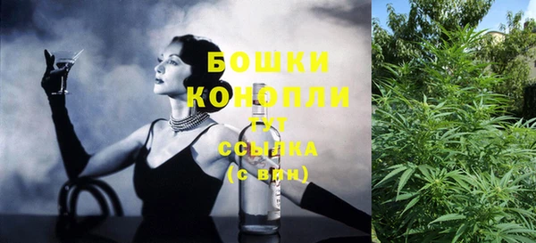 винт Няндома